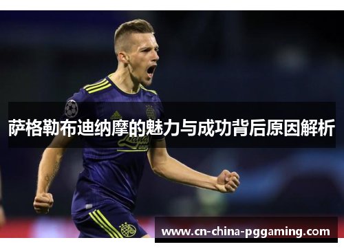 萨格勒布迪纳摩的魅力与成功背后原因解析