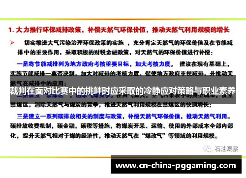 裁判在面对比赛中的挑衅时应采取的冷静应对策略与职业素养
