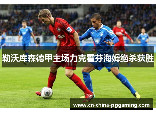 勒沃库森德甲主场力克霍芬海姆绝杀获胜 勒沃库森德甲主场力克霍芬海姆绝杀获胜